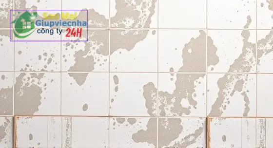 Bí quyết làm sạch nấm mốc nhà tắm